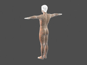 beautiful man -rigged 3d character 3D Model