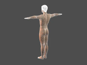 beautiful man -rigged 3d character 3D Model