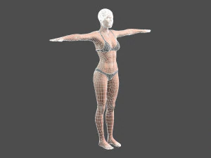beautiful woman -rigged 3d character 3D Model