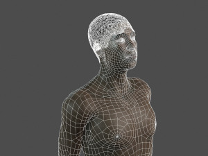 beautiful man -rigged 3d character Model 3D