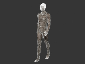 beautiful man -rigged 3d character 3D Model