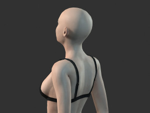 Beautiful Woman -Rigged 3d character 3Dモデル