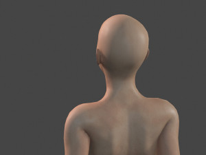 Beautiful Woman -Rigged 3d character Modèle 3D