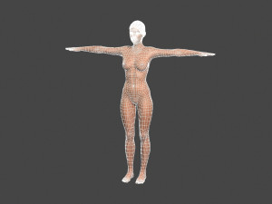 Beautiful Woman -Rigged 3d character Modèle 3D