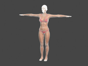 Beautiful Woman -Rigged 3d character Model 3D