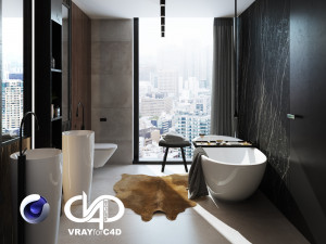 bathroom interior scene for cinema 4d and vray 3D Model