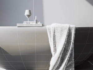 bathroom interior scene for cinema 4d and octane render 3D Model