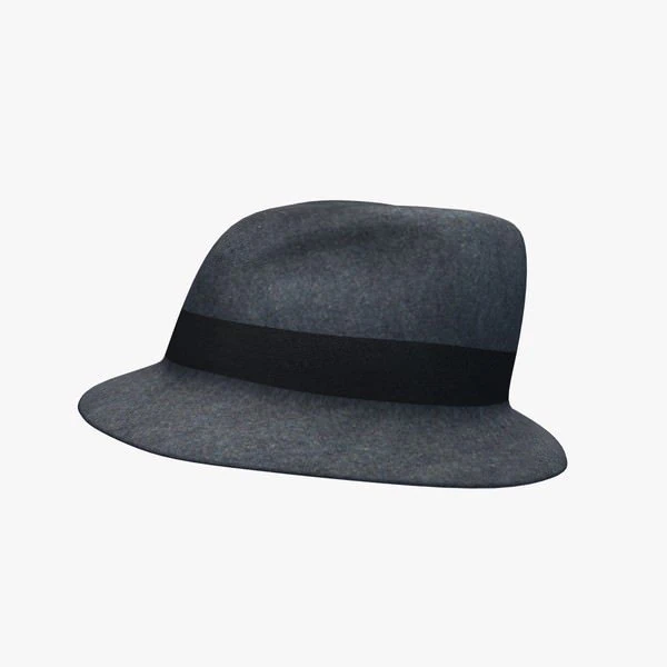 fedora 3D Model .c4d .max .obj .3ds .fbx .stl .blend