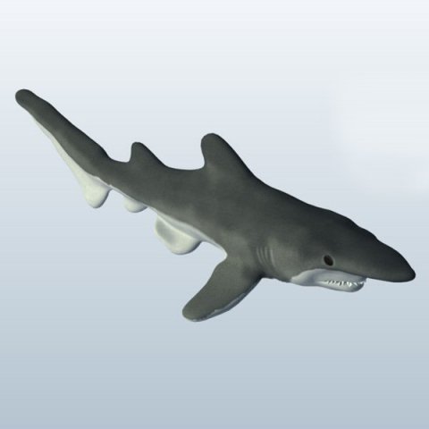 goblin shark 3D Model .c4d .max .obj .3ds .fbx .stl .blend 