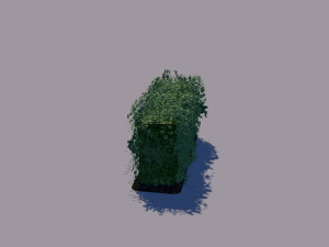 hedge 3Dモデル