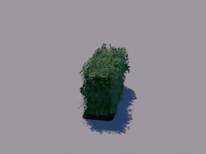 hedge 3D Model