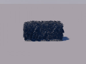 hedge 3Dモデル