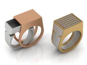 secret compartment ring 2 in 1 3d print model Modello di stampa 3D