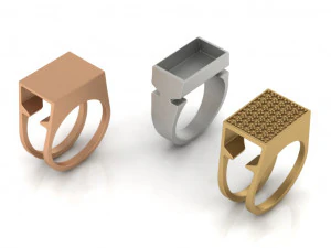 secret compartment ring 2 in 1 3d print model 3D Print Model