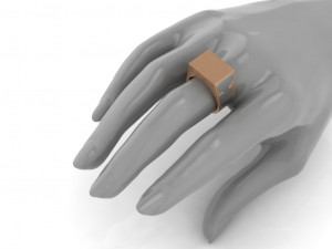 secret compartment ring 2 in 1 3d print model 3Dプリントモデル