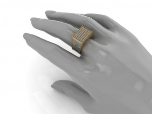 secret compartment ring 2 in 1 3d print model 3Dプリントモデル