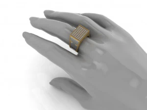secret compartment ring 2 in 1 3d print model 3D Print Model