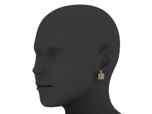 jewelry earrings 3d print model 3D Принт Модель