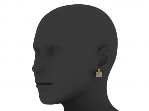 jewelry earrings 3d print model 3D Print Model