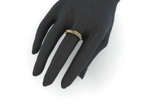 jewellery ring 3d print model 3Dプリントモデル