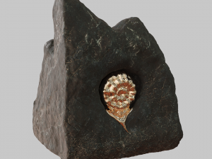 evolution sculpture 3D 模型
