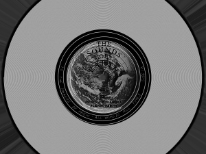 voyager golden record 3D Model