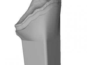 dental anatomy crown stomp crowns molar 3D 모델