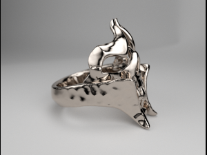 jewellery Modelo de Impressão 3D