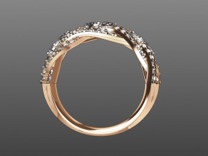 jewellery 3D 打印模型