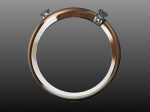 jewellery 3D 打印模型