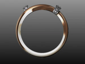 jewellery 3D Print Model