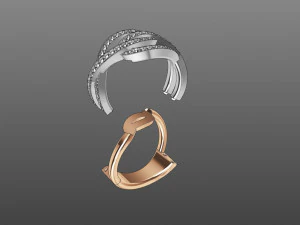 jewellery 3D Print Model