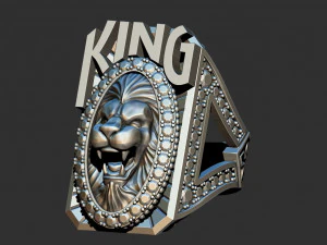 国王的戒指 3D 打印模型
