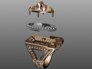 ring of the king Modello di stampa 3D