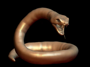 snake 3D Print Model