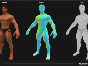 Stylized Male Anatomy Game Model Basemesh Low-poly 3D 模型