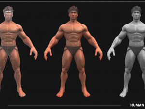 Stylized Male Anatomy Game Model Basemesh Low-poly 3D 模型