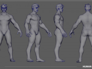Stylized Male Anatomy Game Model Basemesh Low-poly 3D 模型