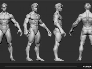 Stylized Male Anatomy Game Model Basemesh Low-poly 3D 模型