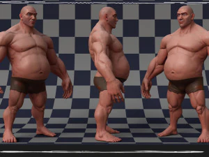 Stylized Fat Man Anatomy Game 3D Model