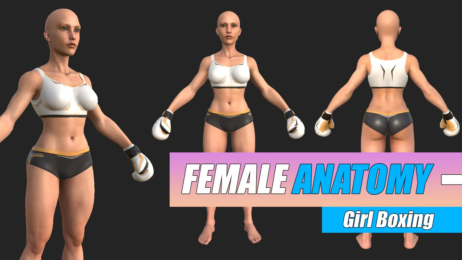Character Girl Boxing Strong 3D Model .c4d .max .obj .3ds .fbx .stl .blend