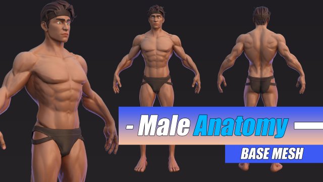Muscle Male Basemesh Low-poly Modello 3D .c4d .max .obj .3ds .fbx .stl .blend