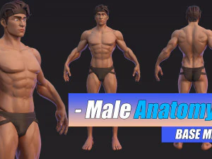 Muscolo Basemesh maschile Low-poly Modello 3D