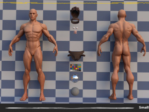 Muscle Male Basemesh Low-poly Modello 3D
