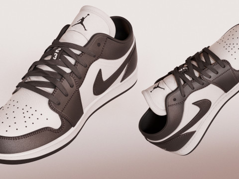 Nike Jordan Low Panda 3D Model
