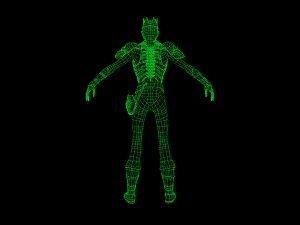 koshei 3D Model