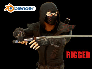 ninja Modello 3D