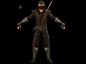 ninja Model 3D