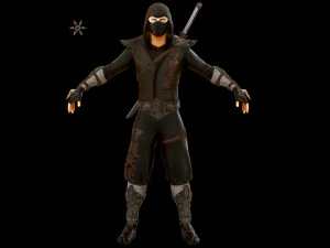 ninja 3D Model