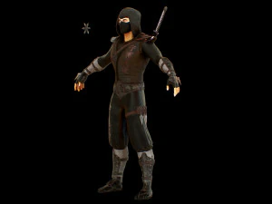 ninja 3D Model